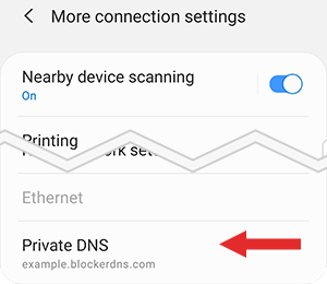 Screenshot showing how to set custom DNS provider Screenshot showing how to set custom DNS provider